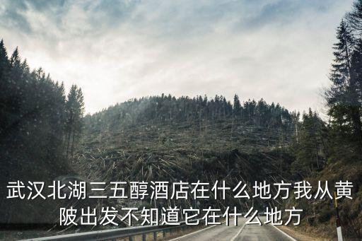 武漢北湖三五醇酒店在什么地方我從黃陂出發不知道它在什么地方