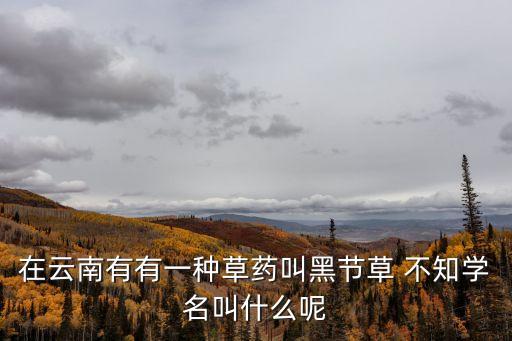 黑節(jié)草，在云南有有一種草藥叫黑節(jié)草 不知學(xué)名叫什么呢