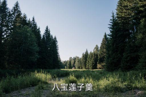 八寶蓮子羹，八寶蓮子羹的功效