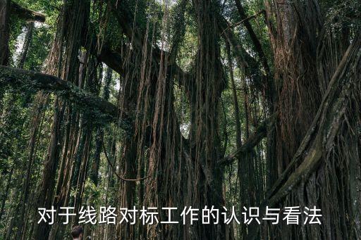 對于線路對標工作的認識與看法