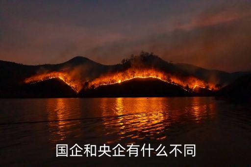 國企和央企，央企和國企有什么區別么