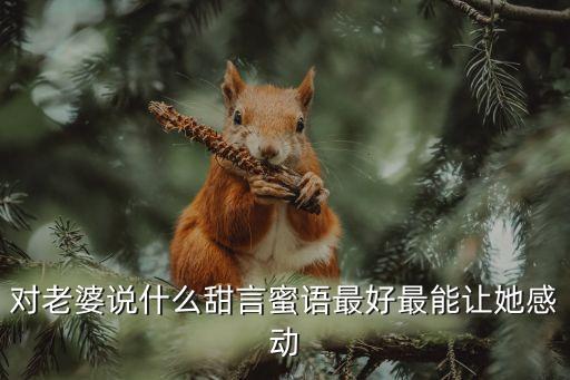對老婆說什么甜言蜜語最好最能讓她感動
