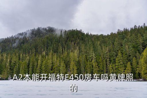 福特房車e450，A2本能開福特E450房車嗎黃牌照的