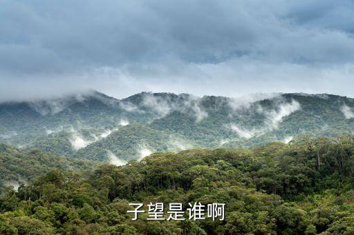 快手網(wǎng)紅故事微博，子望是誰(shuí)啊