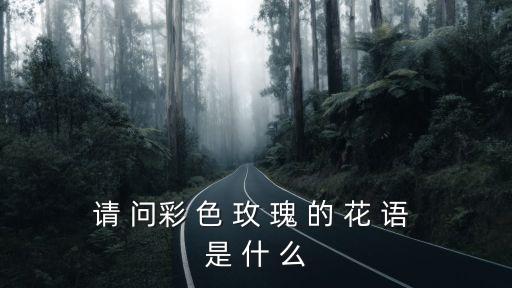 彩色玫瑰，請 問彩 色 玫 瑰 的 花 語 是 什 么