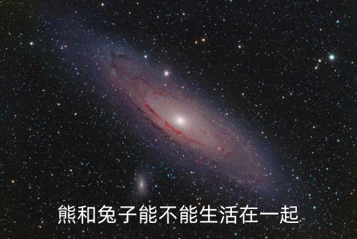 熊和兔子，熊和兔子可以交往麼