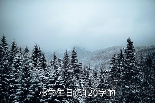 小學生日記本，小學生日記大全163字