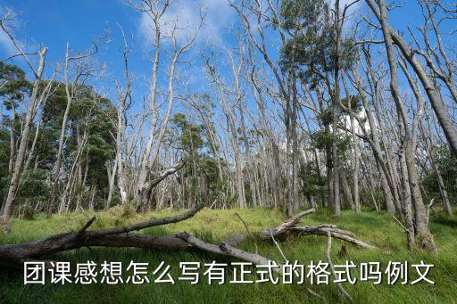 團建感想，團建活動心得體會