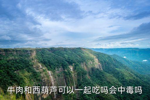 牛肉和西葫蘆可以一起吃嗎會中毒嗎