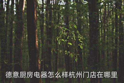 德意廚房電器怎么樣杭州門店在哪里