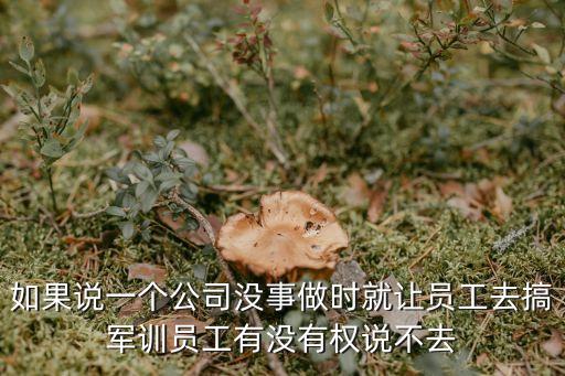 企業軍訓，企業軍訓一般多久