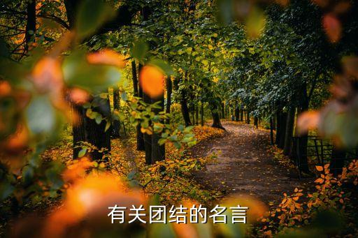 關于團結的句子，有關團結的名言