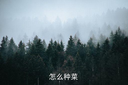 種菜步驟，怎么種菜啊