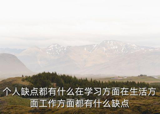 個人不足之處，你的有那些不足之處