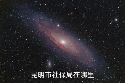 昆明社保局，昆明市社保局的地址在哪
