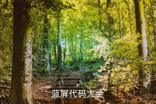 藍屏代碼大全，藍屏代碼大全