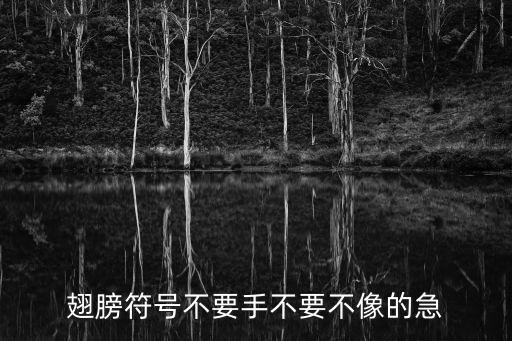 小天使翅膀符號，翅膀符號不要手不要不像的急