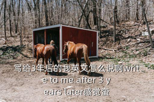寫(xiě)給3年后的我英文怎么說(shuō)啊write to me after 3 years later感覺(jué)蠻