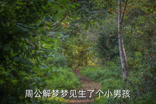 周公解夢夢見生了個小男孩