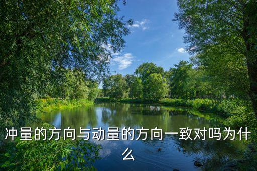 沖量的方向與動量的方向一致對嗎為什么