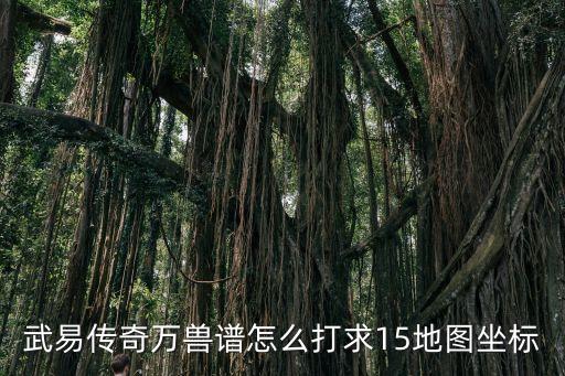 姐姐吉他譜，電吉他譜卡農(nóng)