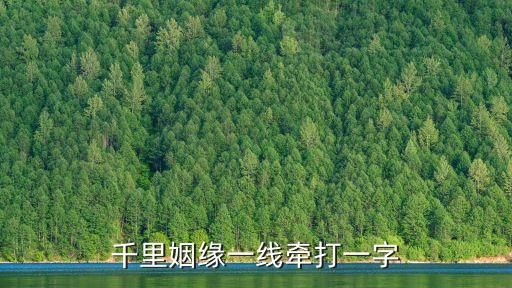 千里姻緣一線牽，千里姻緣一線牽 猜一個字