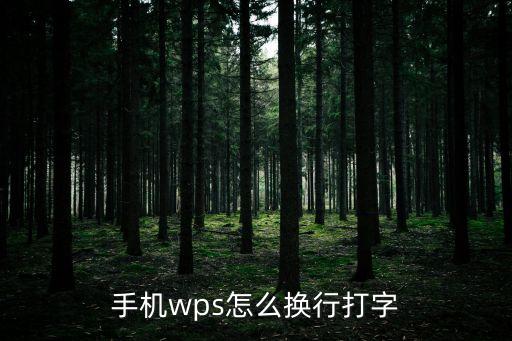 手機wps怎么換行打字