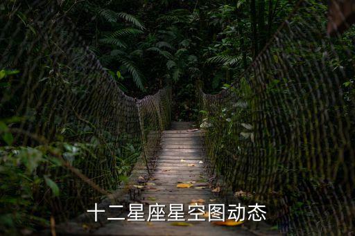 十二星座星圖，十二星座星空圖動態