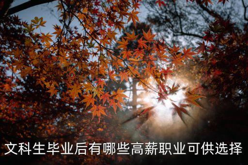 文科生畢業后有哪些高薪職業可供選擇
