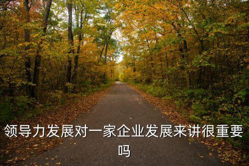 領導力發展對一家企業發展來講很重要嗎