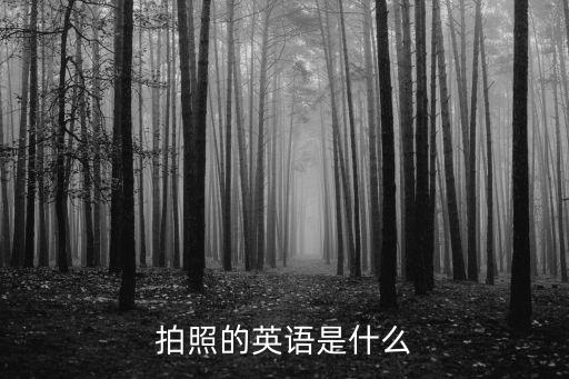 攝影英語，照相用英語怎么說