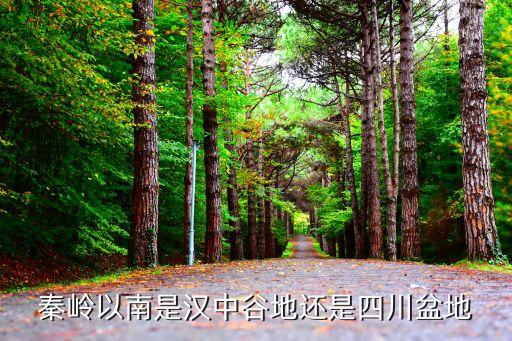 秦嶺以南，秦嶺以南為帶濕潤地區