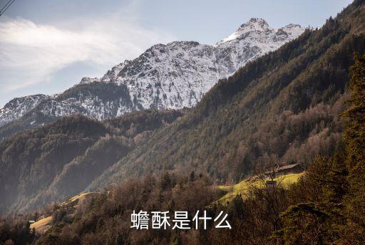 蟾酥，什么是蟾酥