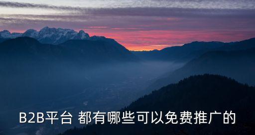 免費b2b平臺推廣，B2B平臺 都有哪些可以免費推廣的