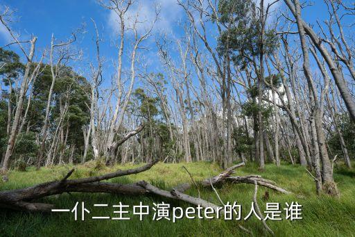 一仆二主中演peter的人是誰