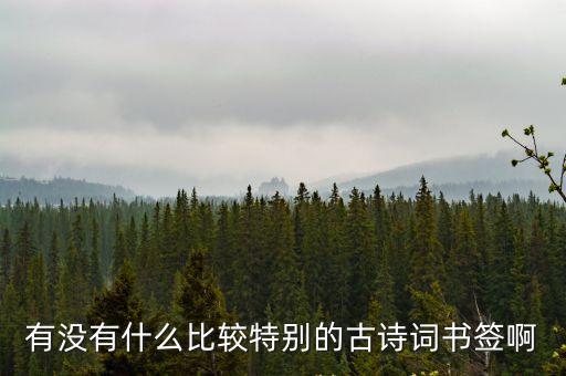 古詩(shī)書(shū)簽，有沒(méi)有什么比較特別的古詩(shī)詞書(shū)簽啊