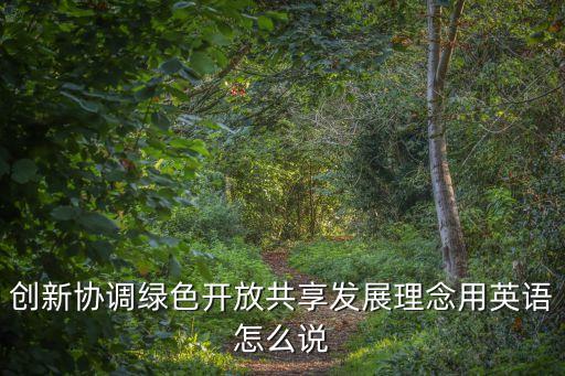 理念的英文，創(chuàng)新協(xié)調(diào)綠色開放共享發(fā)展理念用英語怎么說