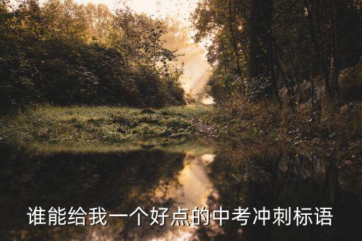 中考標(biāo)語(yǔ)，初三九班要吸引人點(diǎn)的不要老是什么爭(zhēng)第一什么的 中考口號(hào) 快快