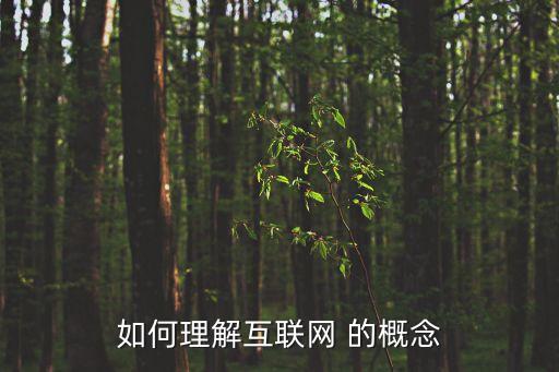 互聯(lián)網(wǎng)的定義，互聯(lián)網(wǎng)的定義是什么
