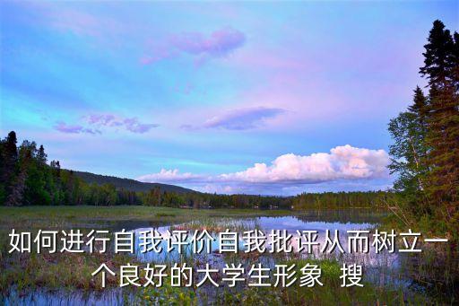 大學(xué)生自我批評，哪有自我評價自我評價范文