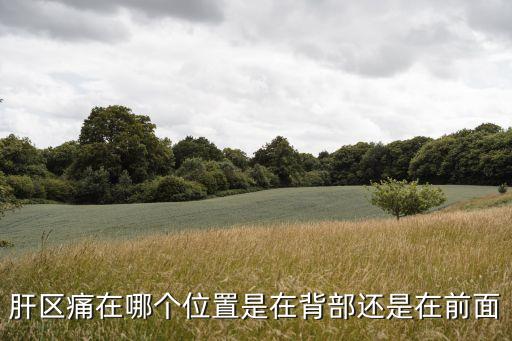 肝疼在哪個部位，肝疼痛一般在哪個部位
