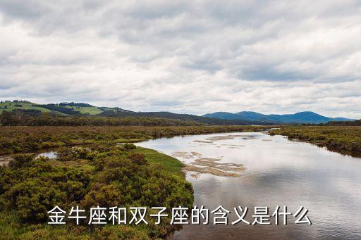 金牛座和雙子座，金牛座與雙子座 詳細