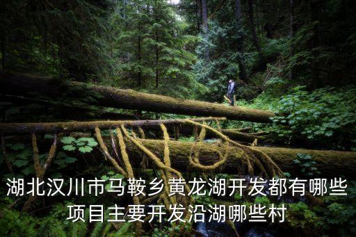湖北漢川市馬鞍鄉黃龍湖開發都有哪些項目主要開發沿湖哪些村
