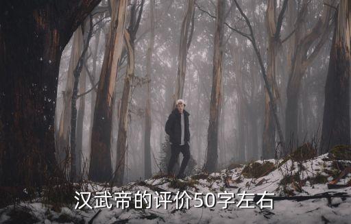 漢武帝評價，漢武帝的評價300字以內