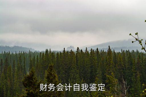 財務人員自我評價，會計自評怎么寫