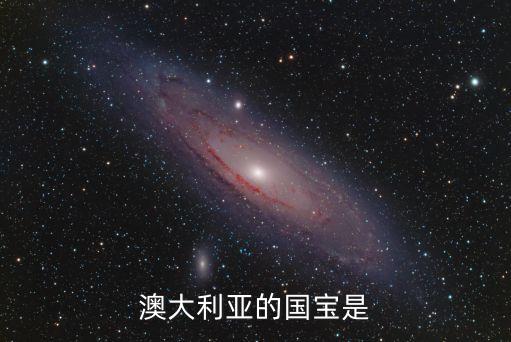 澳大利亞國寶，澳大利亞的國寶有什么