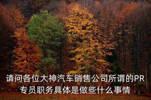 pr崗位，pr經理是什么意思啊