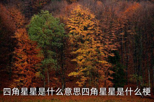 四個角的星星，4角星代表什么