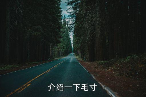 介紹一下毛寸
