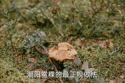 潮陽鱟粿，潮陽鱟粿的最正規做法